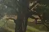 Thumbnail image 10