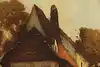 Thumbnail image 10