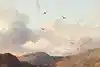 Thumbnail image 10