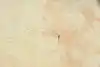 Thumbnail image 12