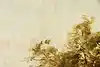 Thumbnail image 14