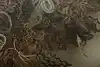 Thumbnail image 12