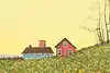 Thumbnail image 7