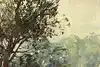 Thumbnail image 10