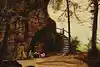 Thumbnail image 1