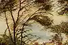 Thumbnail image 7