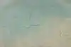 Thumbnail image 9