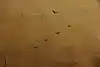 Thumbnail image 9