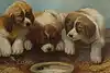 Thumbnail image 4