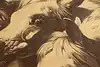 Thumbnail image 7