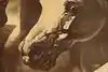 Thumbnail image 8