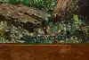 Thumbnail image 10