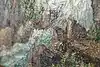 Thumbnail image 9