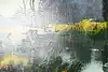 Thumbnail image 10