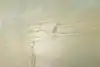 Thumbnail image 13