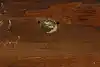 Thumbnail image 16
