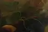 Thumbnail image 8