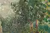 Thumbnail image 8