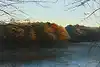 Thumbnail image 1