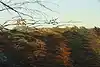 Thumbnail image 7