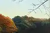 Thumbnail image 8