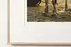 Thumbnail image 8