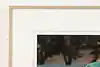 Thumbnail image 4
