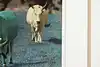 Thumbnail image 7