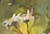 Thumbnail image 5