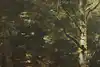 Thumbnail image 10
