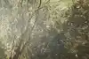 Thumbnail image 11