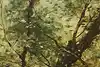 Thumbnail image 8