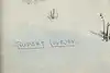 Thumbnail image 11