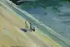 Thumbnail image 13