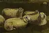 Thumbnail image 10