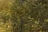Thumbnail image 15