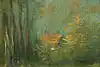 Thumbnail image 17