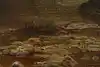Thumbnail image 13