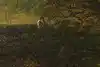 Thumbnail image 7