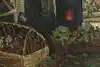 Thumbnail image 9