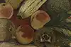 Thumbnail image 8