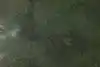 Thumbnail image 11