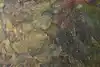 Thumbnail image 13