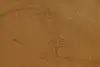 Thumbnail image 15