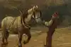 Thumbnail image 11
