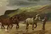 Thumbnail image 7