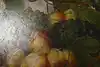 Thumbnail image 13