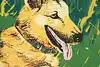 Thumbnail image 7