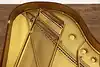 Thumbnail image 20