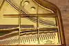 Thumbnail image 22
